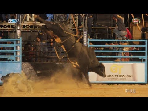 SIMULATED (Tercio Miranda Company) - Best Bull of Rinópolis 2018
