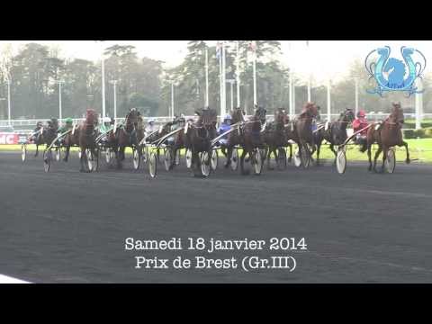 SANITY remporte le Prix de Brest en 1'13''2 - A2TURF.COM