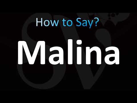 How to Pronounce Malina (CORRECTLY!)