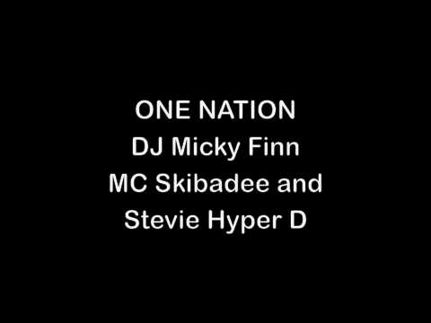 Classic Skibadee and Stevie Hyper D with Micky Finn at One Nation.