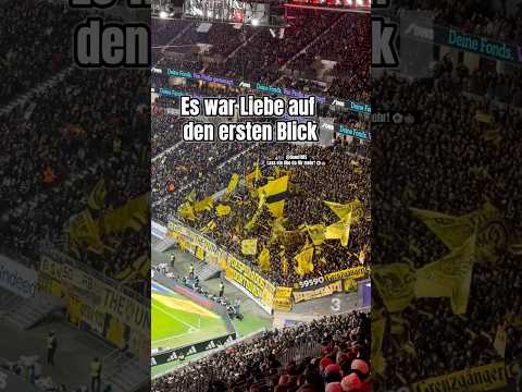 „Es war Liebe auf den ersten Blick“ 🎶 BVB-Fans in Frankfurt! 🔥🏟️⚽️ #bvb #fans #borussiadortmund