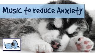 Music to Help Dogs Through Thunderstorms - Reduces Anxiety and Crying Due to Thunder and Lightning