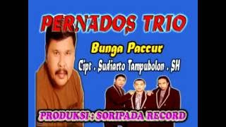 Download lagu Bunga Paccur - Pernandos Trio mp3