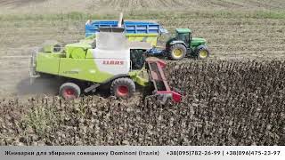 New Dominoni Free Sun (Italiia) vid ofitsiinoho dylera sunflower header | Image 4 - Agroline