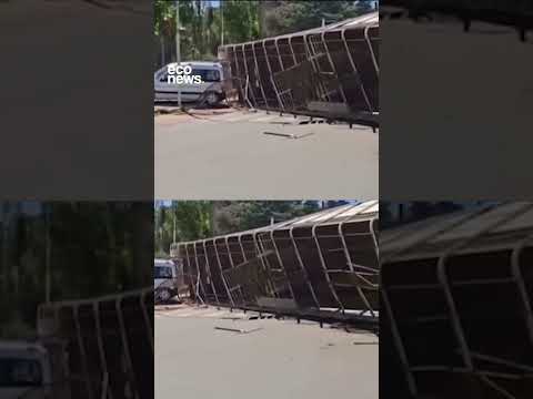 🐮 23 vacas escaparon de un camión que volcó a la altura de Villa Giardino, Córdoba.