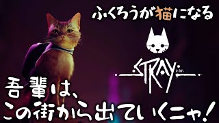 【話題の猫ゲー】可愛すぎる猫の脱出ゲーム？/ Stray#1