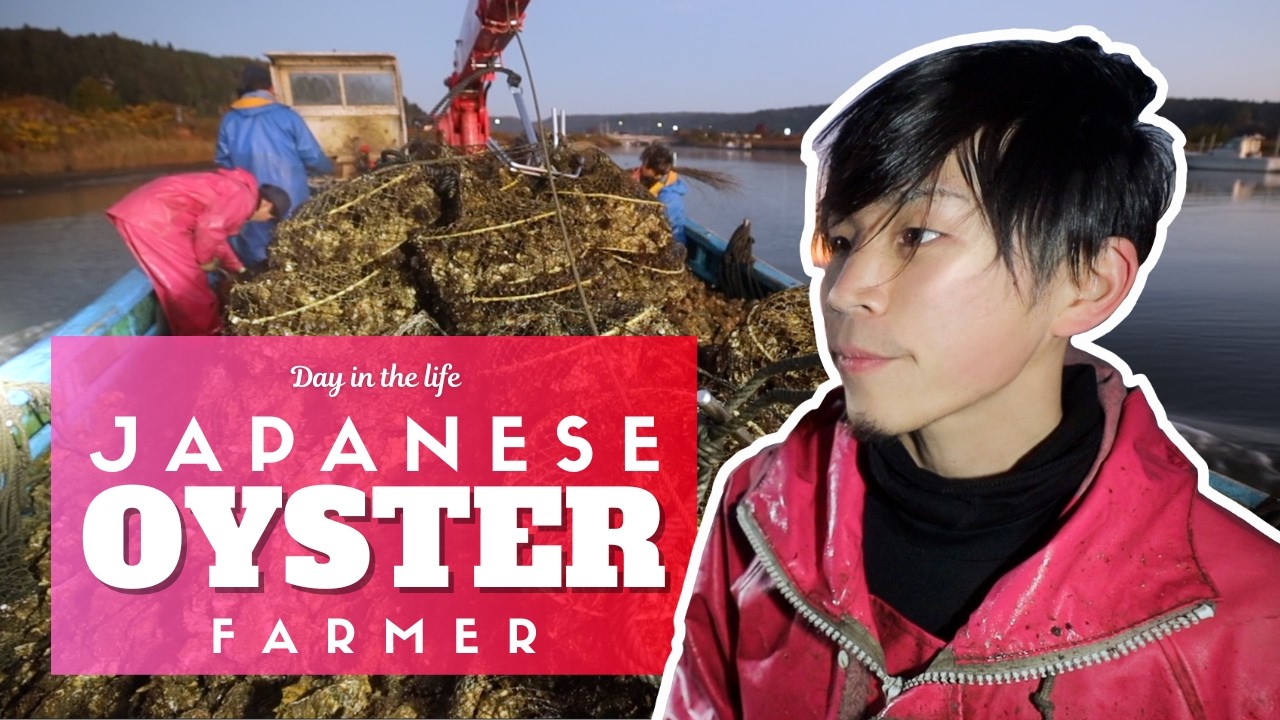 Day in the Life of a Japanese Oyster Farmer