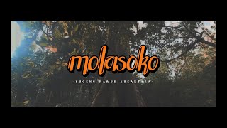 Download lagu MOLASOKO mp3