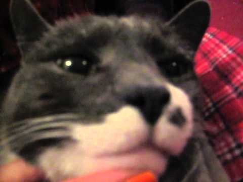 Happy Birthday Davie