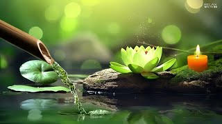 Download lagu Relaxing Music Piano with the Sounds of Nature Bamboo Water Fountain - Sleep Music,Meditation. mp3