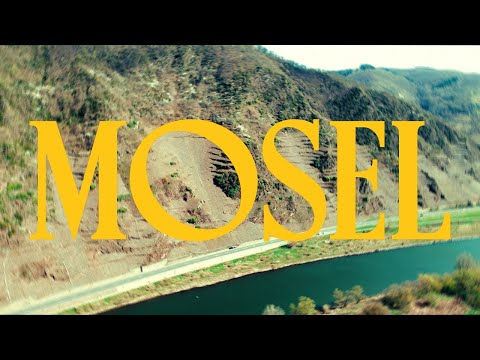 Ontdekken wij het grootste wijngeheim van Europa? #Mosel #Moezel