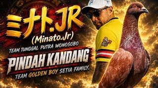 Download lagu 🔴 MINATO.JR PINDAH KANDANG SETIA FAMILY ‼️ KANG DAUD UNGKAPKAN HARAPAN BESAR/ TUNGGAL PUTRA WONOSOBO mp3