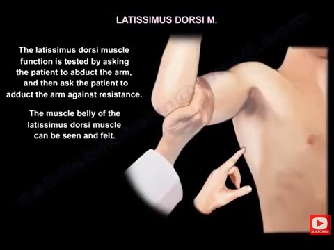 Odkrywanie anatomii i funkcji mięśni ramion