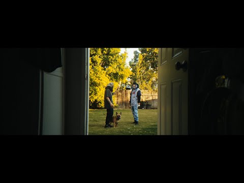 Baby Franco - Sin Vida Ft. ZooDeVille