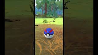 Shiny Lechonk #pokemongo #pokemon #pokemonchannel #fy #shiny #shinypokemon #shorts #pokemoncards