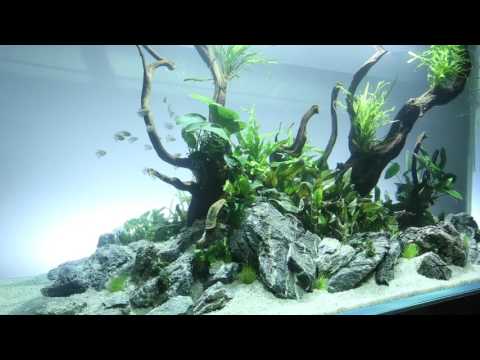 Aquascaper 1500 Nature Aquarium