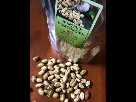 download lagu mp3 mp4 Pistachios Jalapeno Flavored, download lagu Pistachios Jalapeno Flavored gratis, unduh video klip Pistachios Jalapeno Flavored