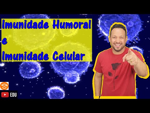 Humoral Immunity and Cellular Immunity - Types of Acquired Immunity - Immune System