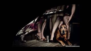 Gare du Nord Tom's Song