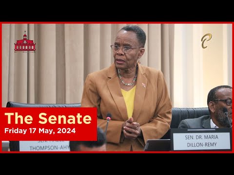 20th Sitting of the Senate - 4th Session - 12th Parliament - May 17, 2024