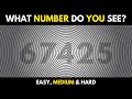 Eyes Test : Guess the Numbers with Optical Illusions | Easy, Medium & Hard Levels