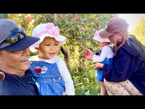 BAWIHTEI'N APPLE A LO LEH TA||APPLE FARM IOWA||Vlog.