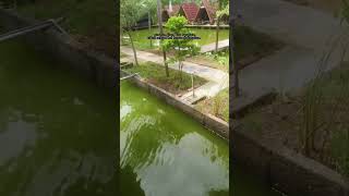 Download lagu KOTAK~SENDIRI STORY WA|#storywa30detik mp3 Download lagu KOTAK~SENDIRI STORY WA|#storywa30detik mp3