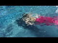 Leah Mermaid