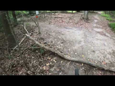 MedLark Part1 8 31 2024