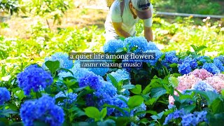 a quiet life among flowers - /asmr relaxing music playlist/