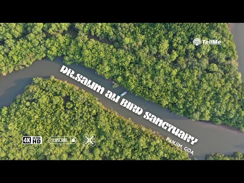 Discovering the serene haven for bird enthusiasts I Panjim I Goa.