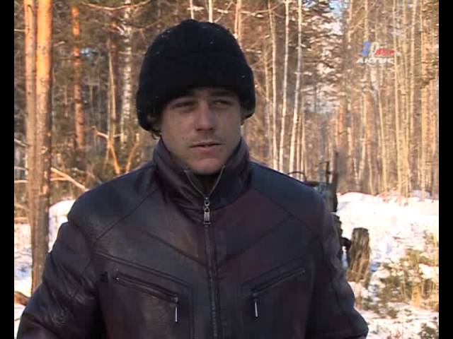 Под Ангарском задержаны «черные» лесорубы