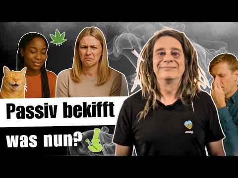 Aus Versehen DICHT? Welche FOLGEN der passive Konsum von CANNABIS für Euren FÜHRERSCHEIN haben kann
