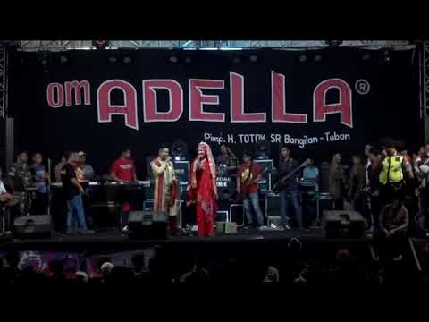 DUET PASANGAN PENGANTIN BARU ANDY KDI DAN LAILA