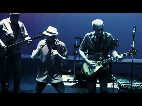 The Silverbacks - Hurts So Good