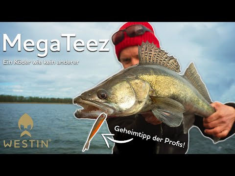 This bait makes the difference on zander | Westin Fishing (German)