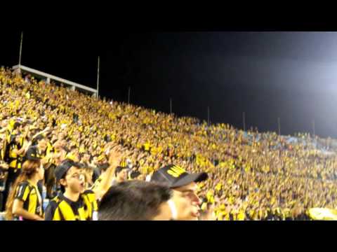"Jamas Jamas Podras Tener La Hinchada" Barra: Barra Amsterdam &bull; Club: Peñarol