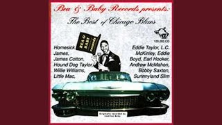 Homesick James / My Kind Of Woman