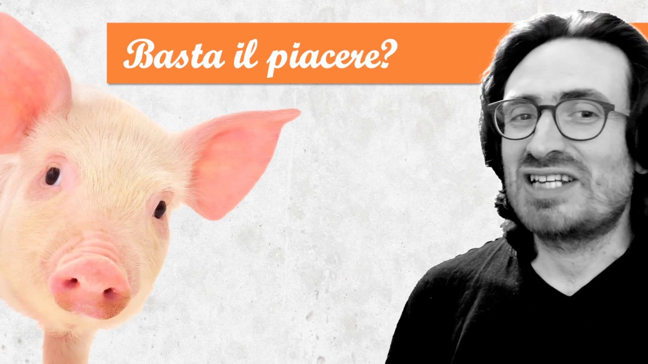 La felicità secondo Aristotele