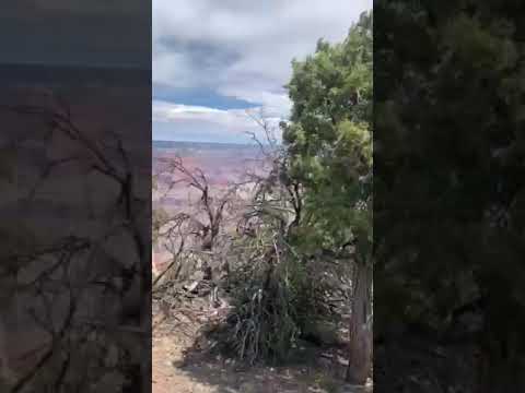 hike along the southern rim of the Grand Canyon.