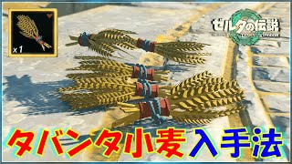【ゼルダの伝説ティアキン】「タバンタ小麦」の入手方法！収穫しやすい草が生えているエリア＆売っている店を紹介