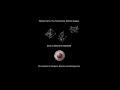 Papagajka Feature Film End Crawl Design