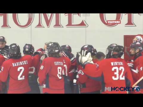 2017 MAHA Bantam AA state title game - Saginaw Jr. Spirit vs. Michigan Ice Hawks