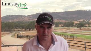 Lindsay Park Stable Update   7 Feb 2019