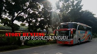 Download lagu 🔴STORY HUNTING BUS ROSALIA INDAH DAN PRAMUGARI CANTIKNYA💫 mp3 Download lagu 🔴STORY HUNTING BUS ROSALIA INDAH DAN PRAMUGARI CANTIKNYA💫 mp3