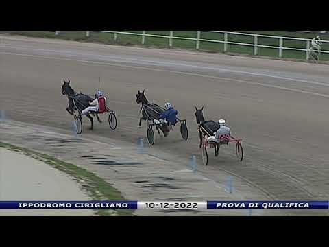 Aversa trotto 10 Dicembre 2022 - Prova di qualifica