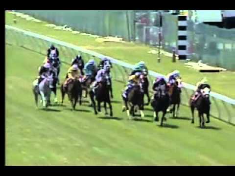 Pimlico 05/17/13 Race 2