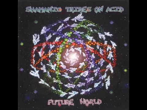 Shamanic Tribes On Acid -  Future World