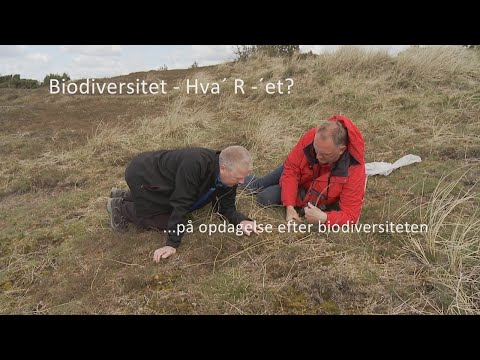 Biodiversitet – Hva´R´- et?