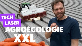 Download lagu 800 hectares of organic carrots and zero pesticide residue mp3 Download lagu 800 hectares of organic carrots and zero pesticide residue mp3